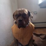 Magdalena – fotografie 10