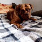 Magdalena – fotografie 11