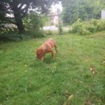 Magdalena – fotografie 12