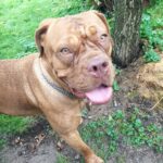 Magdalena – fotografie 13