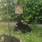 Štaflík – fotografie 57