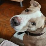 Kessienne – fotografie 22