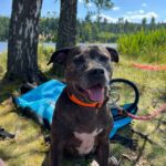 Misha – fotografie 27