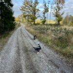 Misha – fotografie 30