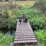 Misha – fotografie 31