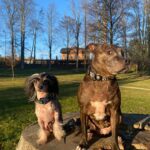 Misha – fotografie 32