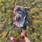 Danny – fotografie 13