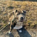 Danny – fotografie 14