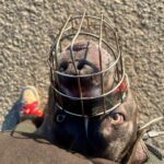 Danny – fotografie 15