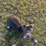 Danny – fotografie 17