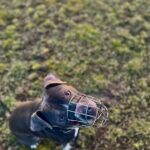 Danny – fotografie 18