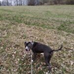 Danny – fotografie 36