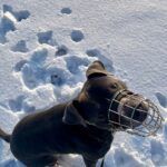 Danny – fotografie 30