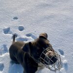 Danny – fotografie 31