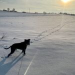 Danny – fotografie 32