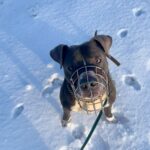 Danny – fotografie 29