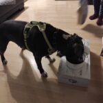 Danny – fotografie 38