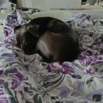 Danny – fotografie 34