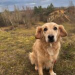 Blondie – fotografie 36