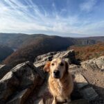 Blondie – fotografie 38