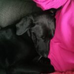 Elton – fotografie 18