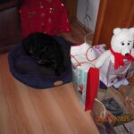 Nody – fotografie 31