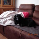 Nody – fotografie 32