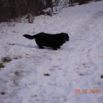 Nody – fotografie 33