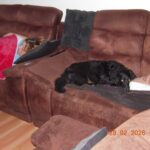 Nody – fotografie 34