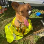 Zrzínek – fotografie 24