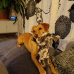 Zrzínek – fotografie 26