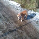 Bobulka – fotografie 30