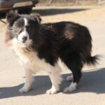 Loky – fotografie 6