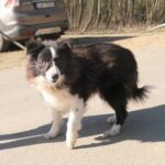 Loky – fotografie 10