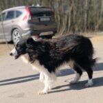 Loky – fotografie 9