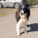 Loky – fotografie 8