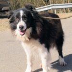 Loky – fotografie 4