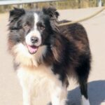 Loky – fotografie 3