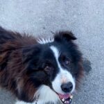 Loky – fotografie 13