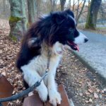 Loky – fotografie 16