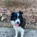 Loky – fotografie 14