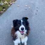 Loky – fotografie 15