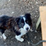 Loky – fotografie 19