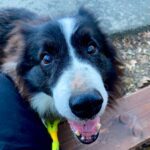 Loky – fotografie 17