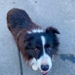 Loky – fotografie 18