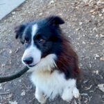 Loky – fotografie 20