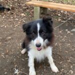 Loky – fotografie 12