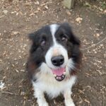 Loky – fotografie 11