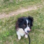 Loky – fotografie 23