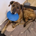 Spidy – fotografie 15